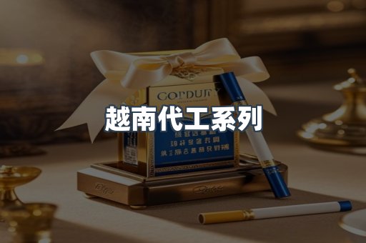 越南代工系列
